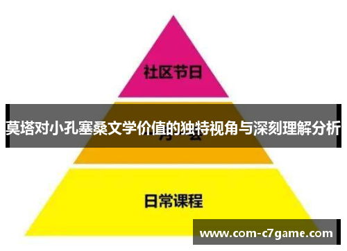 莫塔对小孔塞桑文学价值的独特视角与深刻理解分析