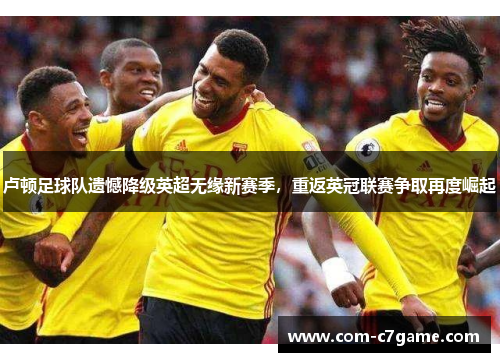 卢顿足球队遗憾降级英超无缘新赛季，重返英冠联赛争取再度崛起